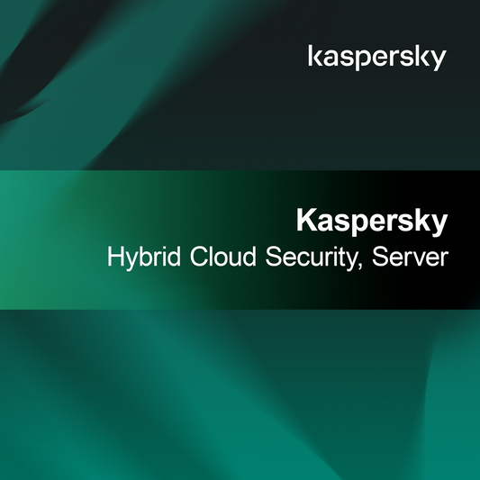 Kaspersky Securitate Cloud Hibrid, Server