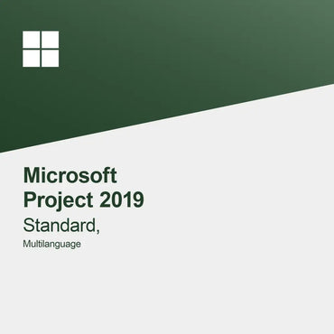 Microsoft Project 2019 Standard, Multilingv