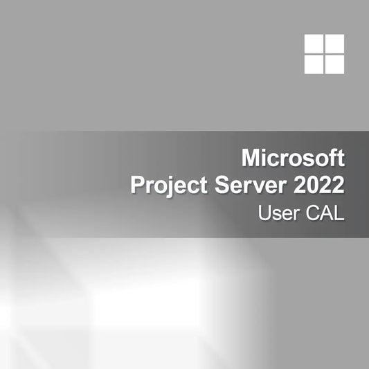 Microsoft Project Server 2022 Licență Utilizator CAL