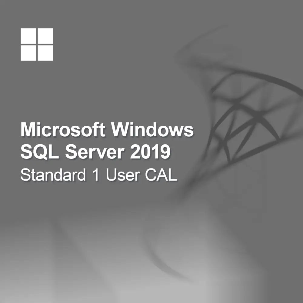 Microsoft SQL Server 2019 Standard 1 utilizator CAL
