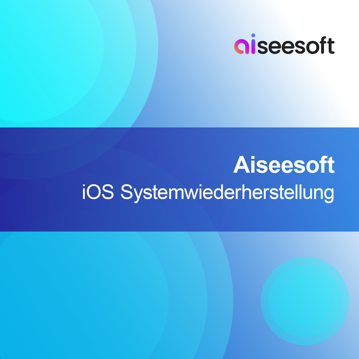 Aiseesoft Restaurare Sistem iOS