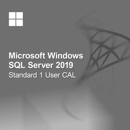 Microsoft SQL Server 2019 Standard 1 utilizator CAL