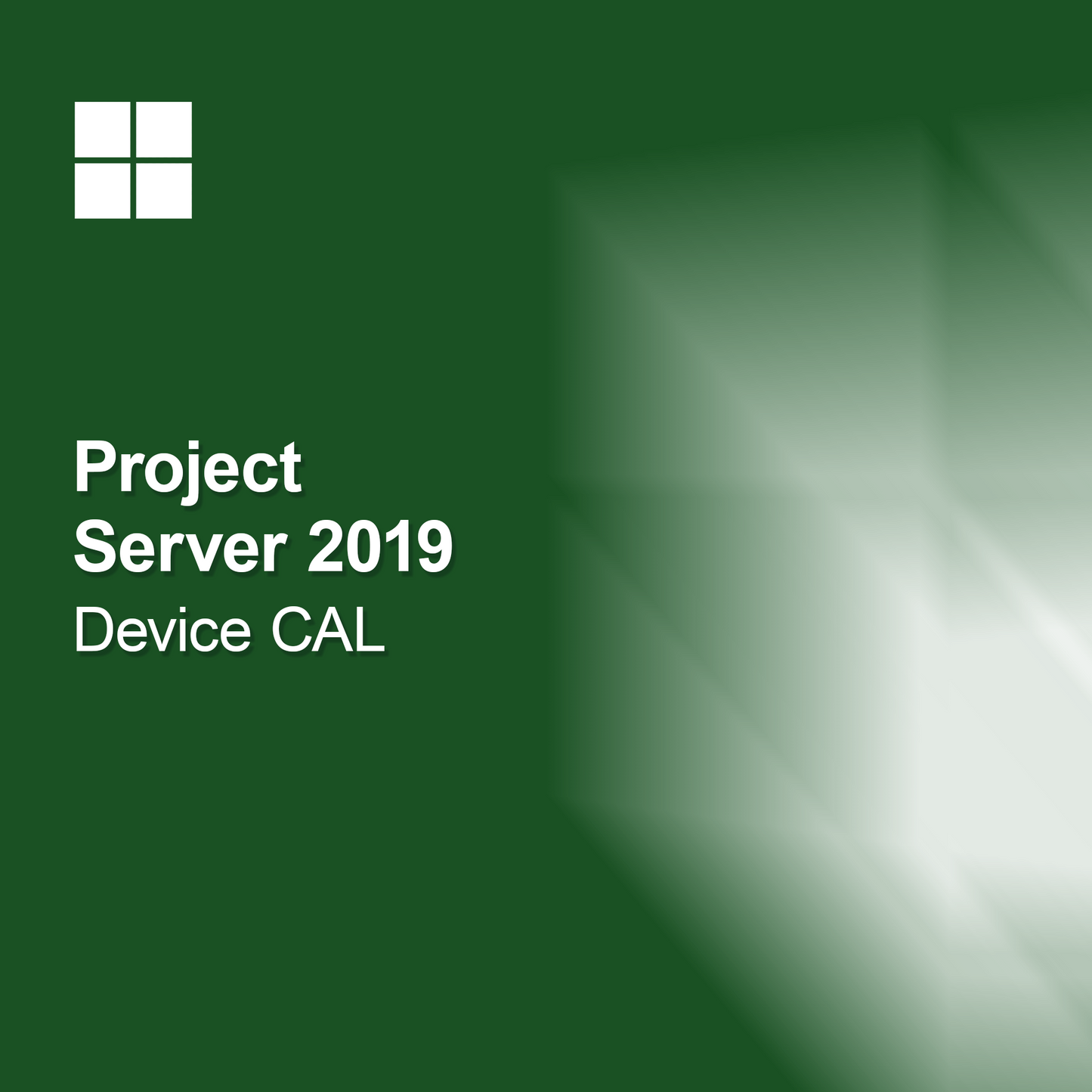 Project Server 2019 Licență CAL pentru dispozitiv